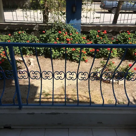 Marigold אכסניה *